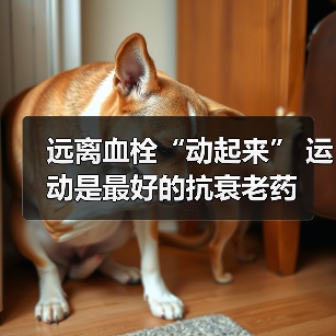 远离血栓“动起来” 运动是最好的抗衰老药（图3）