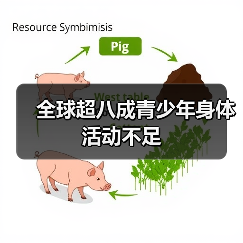 全球超八成青少年身体活动不足（图3）