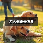 怎么健走最强身（图4）