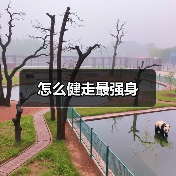 怎么健走最强身（图2）