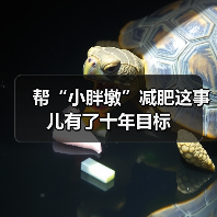帮“小胖墩”减肥这事儿有了十年目标（图3）