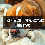 这样夜跑，才能远离运动性猝死（图2）