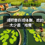 减肥重在减体脂，吃的太少很“难瘦”（图4）
