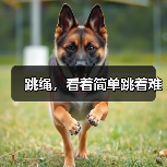 跳绳，看着简单跳着难（图1）
