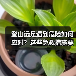 登山远足遇到危险如何应对？这些急救措施要牢记（图3）
