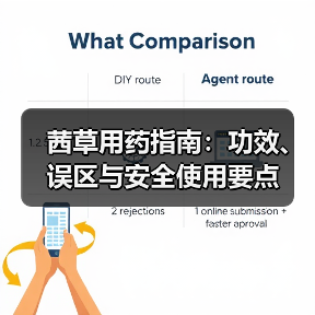 茜草用药指南：功效、误区与安全使用要点（图3）