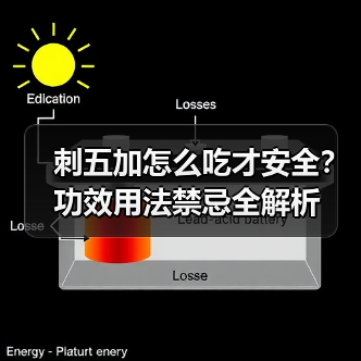 刺五加怎么吃才安全？功效用法禁忌全解析（图3）