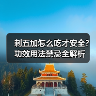 刺五加怎么吃才安全？功效用法禁忌全解析（图1）