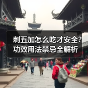刺五加怎么吃才安全？功效用法禁忌全解析（图2）