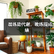 晨练助代谢，晚练提成绩（图3）