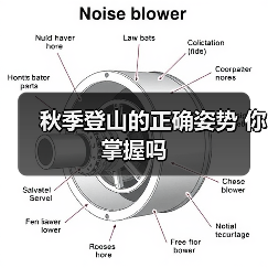 秋季登山的正确姿势 你掌握吗（图4）