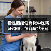 慢性萎缩性胃炎中医辨证调理：缓解症状+延缓进展的实用思路（图1）