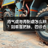 肾气虚与肾阳虚怎么辨？别单靠把脉，四诊合参才靠谱（图3）