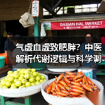气虚血虚致肥胖？中医解析代谢逻辑与科学调理建议（图2）