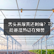 舌头苔厚黄还刺痛？可能是湿热证在预警（图3）