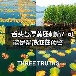 舌头苔厚黄还刺痛？可能是湿热证在预警（图4）