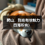 爬山，到底有啥魅力（四海听音）（图2）