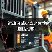 运动可减少衰老导致的脂肪堆积（图1）