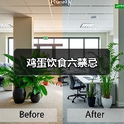 鸡蛋饮食六禁忌（图3）