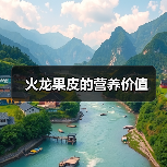 火龙果皮的营养价值（图4）