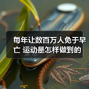 每年让数百万人免于早亡 运动是怎样做到的（图4）