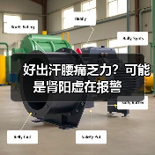 好出汗腰痛乏力？可能是肾阳虚在报警（图2）