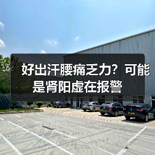 好出汗腰痛乏力？可能是肾阳虚在报警（图1）