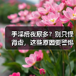手淫后夜尿多？别只怪肾虚，这些原因要警惕（图1）