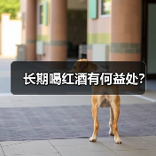 长期喝红酒有何益处？（图1）