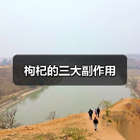 枸杞的三大副作用（图2）