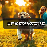 大白菜功效及家常吃法（图1）