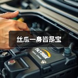 丝瓜一身皆是宝（图4）