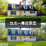 丝瓜一身皆是宝（图1）