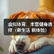 虚拟体育，丰富健身选择（新生活 新体验）（图2）