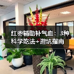 红枣辅助补气血：3种科学吃法+避坑指南（图2）