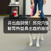 鼻出血别慌！厉兑穴缓解胃热型鼻出血的原理与用法（图3）