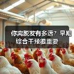 你离脱发有多远？早期综合干预很重要（图2）