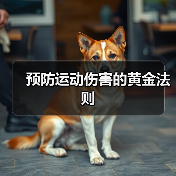 预防运动伤害的黄金法则（图4）