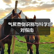 气厥昏倒识别与科学应对指南（图1）