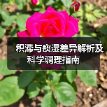 积滞与痰湿差异解析及科学调理指南（图4）