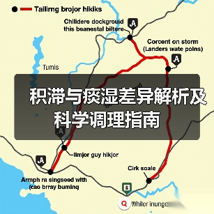 积滞与痰湿差异解析及科学调理指南（图3）
