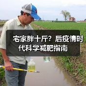 宅家胖十斤？后疫情时代科学减肥指南（图3）