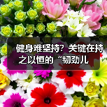 健身难坚持？关键在持之以恒的“韧劲儿（图1）