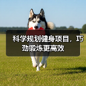 科学规划健身项目，巧劲锻炼更高效（图4）