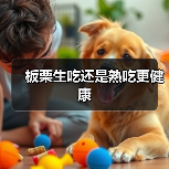 板栗生吃还是熟吃更健康（图4）