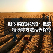 时令菜保鲜妙招：盐渍、糖渍等方法延长保存期（图4）