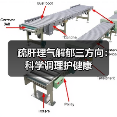 疏肝理气解郁三方向：科学调理护健康（图4）
