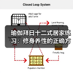 瑜伽拜日十二式居家练习：修身养性的正确方式（图3）