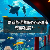 露营旅游如何实现健康有序发展？（图3）