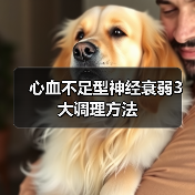 心血不足型神经衰弱3大调理方法（图3）
